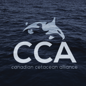 CCA’s Mission and Principles