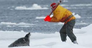 Canadians Kind to Animals?