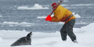 Canadians Kind to Animals?