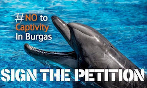 Saying No to Captivity in Burgas (Bulgaria)