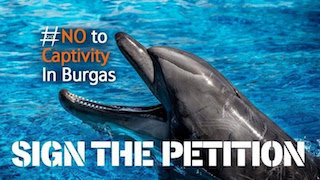 Saying No to Captivity in Burgas (Bulgaria)