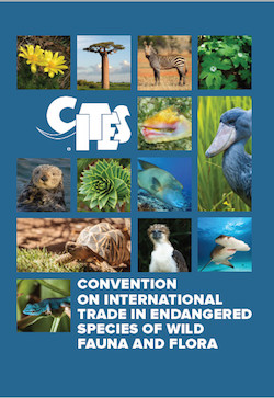 Using CITES to end drive hunts