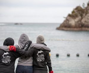 Is the Taiji terror over?