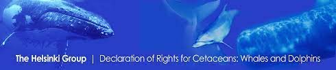A Declaration of Cetacean Rights